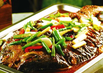 加盟一家烤魚店的條件是什么？