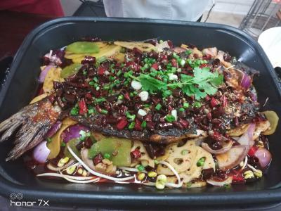 正宗烤魚技術(shù)培訓(xùn)，一條魚火一座城