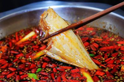 成都郫縣有沒(méi)有專業(yè)培訓(xùn)耗兒魚(yú)培訓(xùn)學(xué)校？