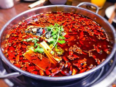 美蛙魚頭火鍋培訓那個靠譜？火鍋培訓哪家好