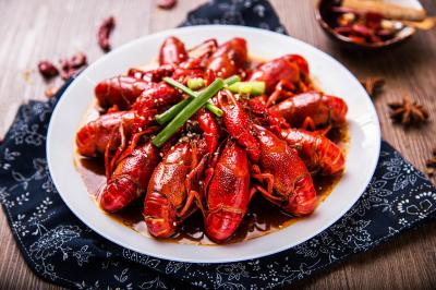 小龍蝦訓練哪里滋味好?名師教育，不走彎路