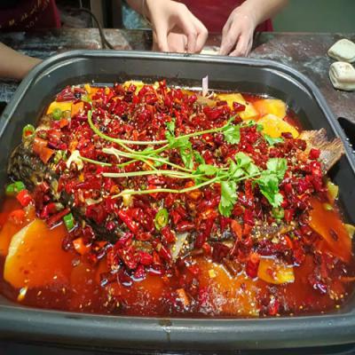 哪里可以學(xué)習(xí)香辣烤魚技術(shù)培訓(xùn)？
