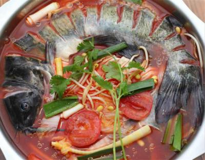 成都火鍋魚技術(shù)培訓(xùn)學(xué)校哪家正規(guī)？